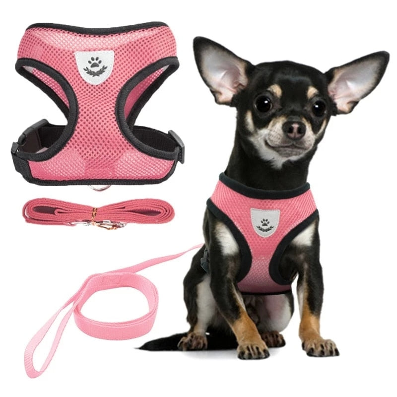 Vest Walking Lead Leash