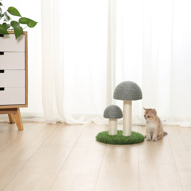 Kitten Cute Mushrooms Furniture