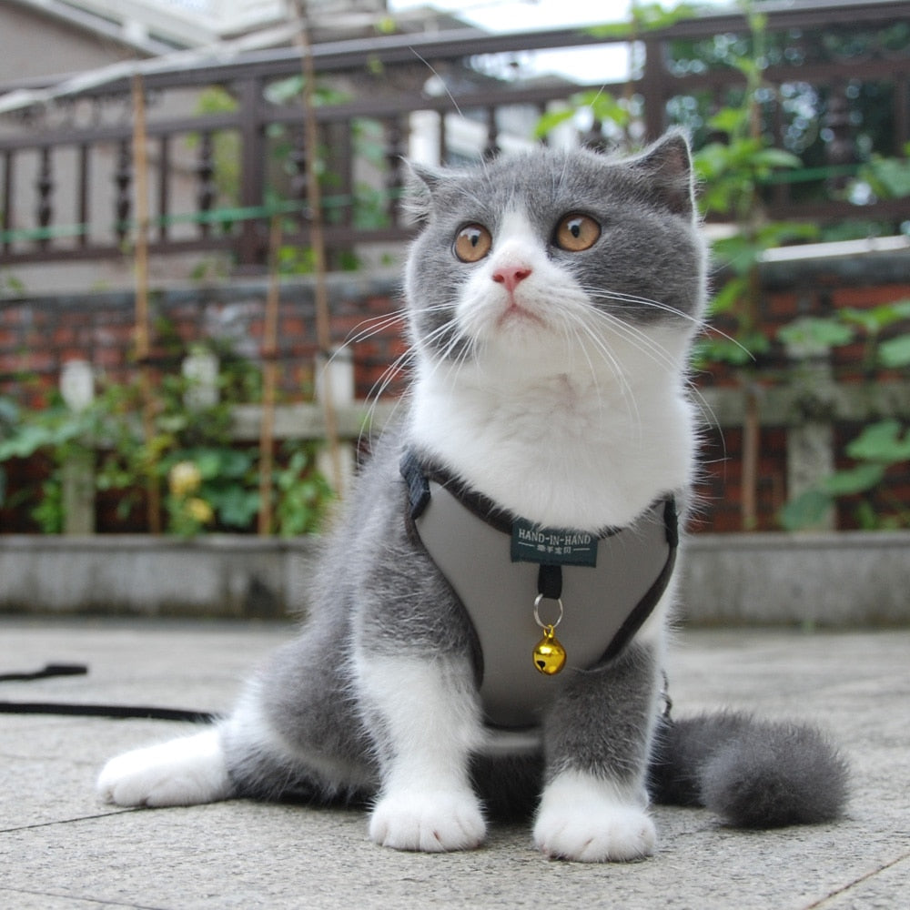 Pet Adjustable Harness With Bell