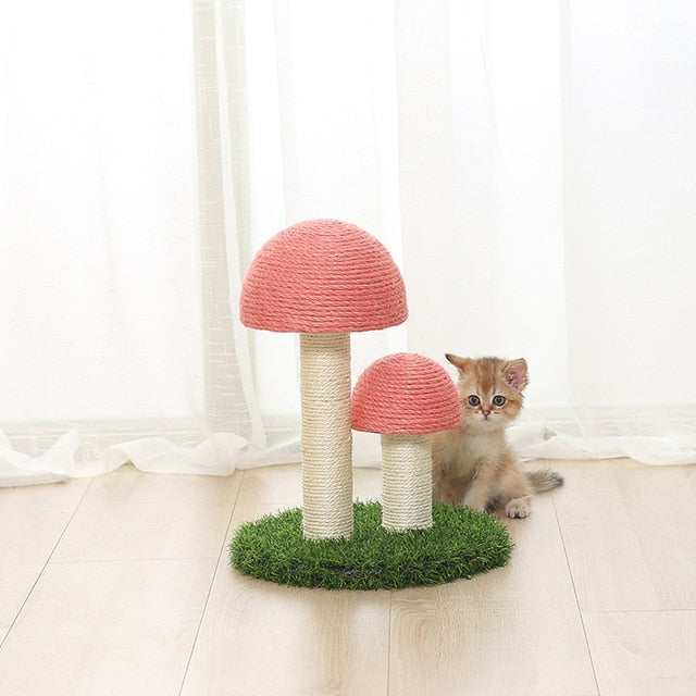 Kitten Cute Mushrooms Furniture