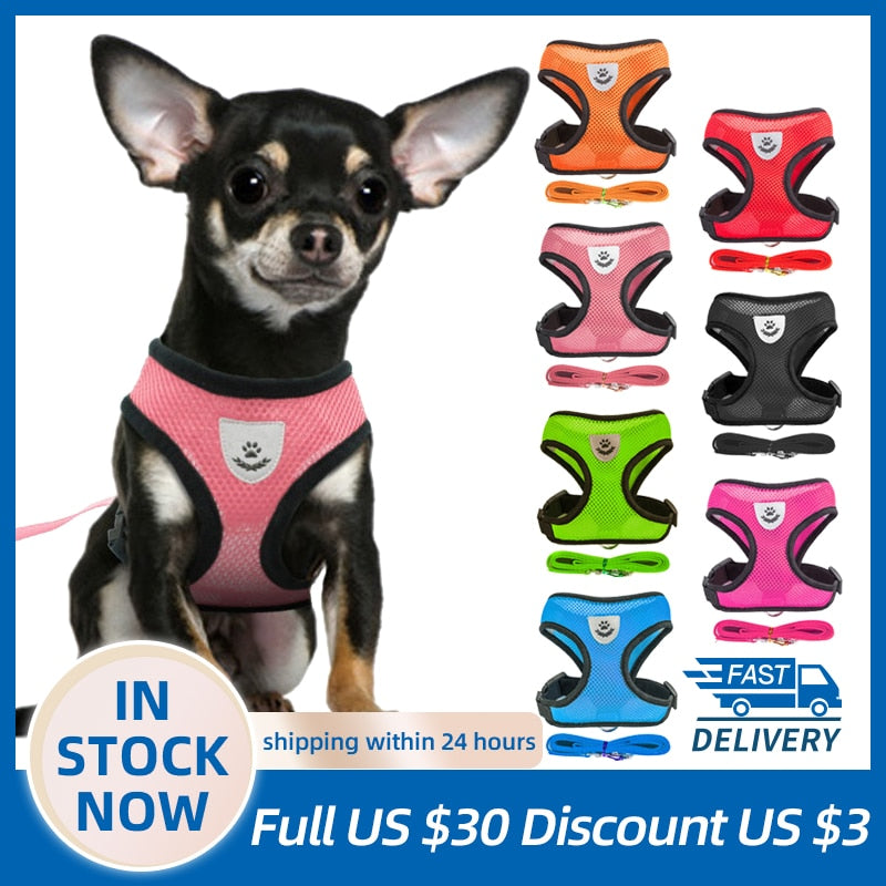 Vest Walking Lead Leash