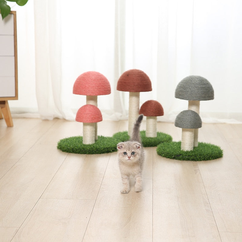 Kitten Cute Mushrooms Furniture