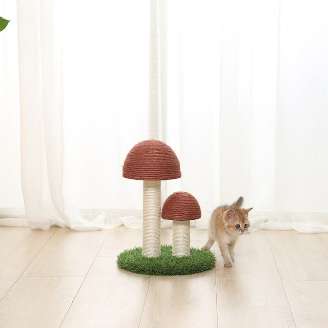 Kitten Cute Mushrooms Furniture