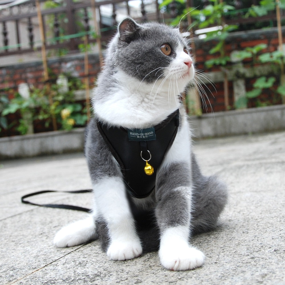 Pet Adjustable Harness With Bell