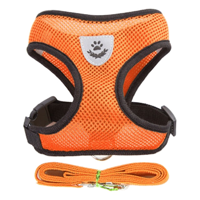 Vest Walking Lead Leash