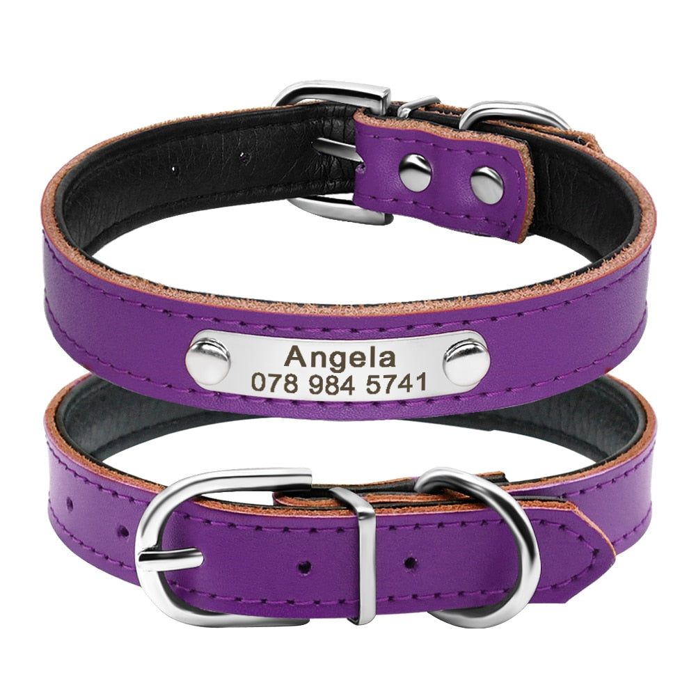 Pet Kitten Nameplate Collar