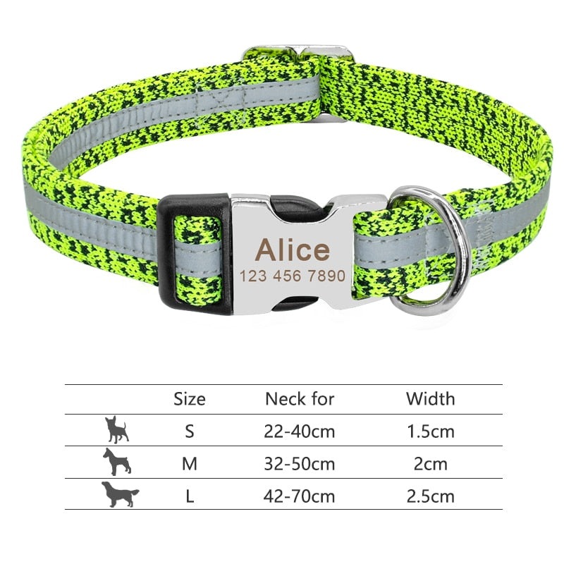 Nylon Dog Collar