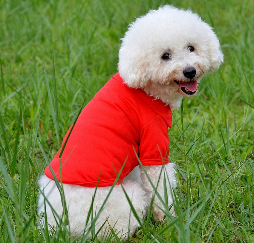 Puppy Comfortable Summer Shirt