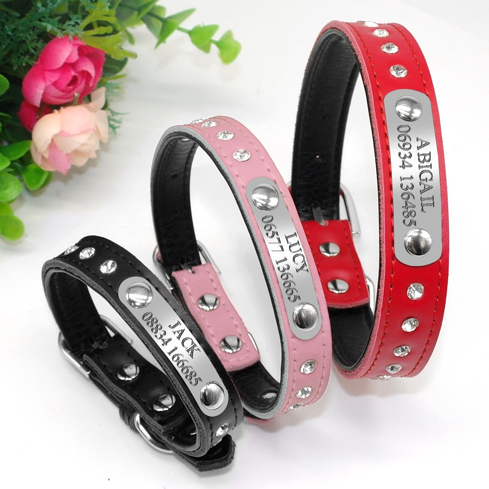 Pet Kitten Nameplate Collar