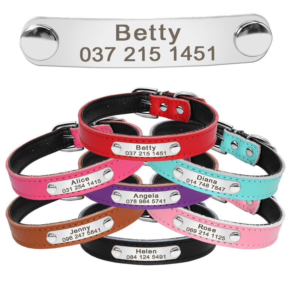 Pet Kitten Nameplate Collar