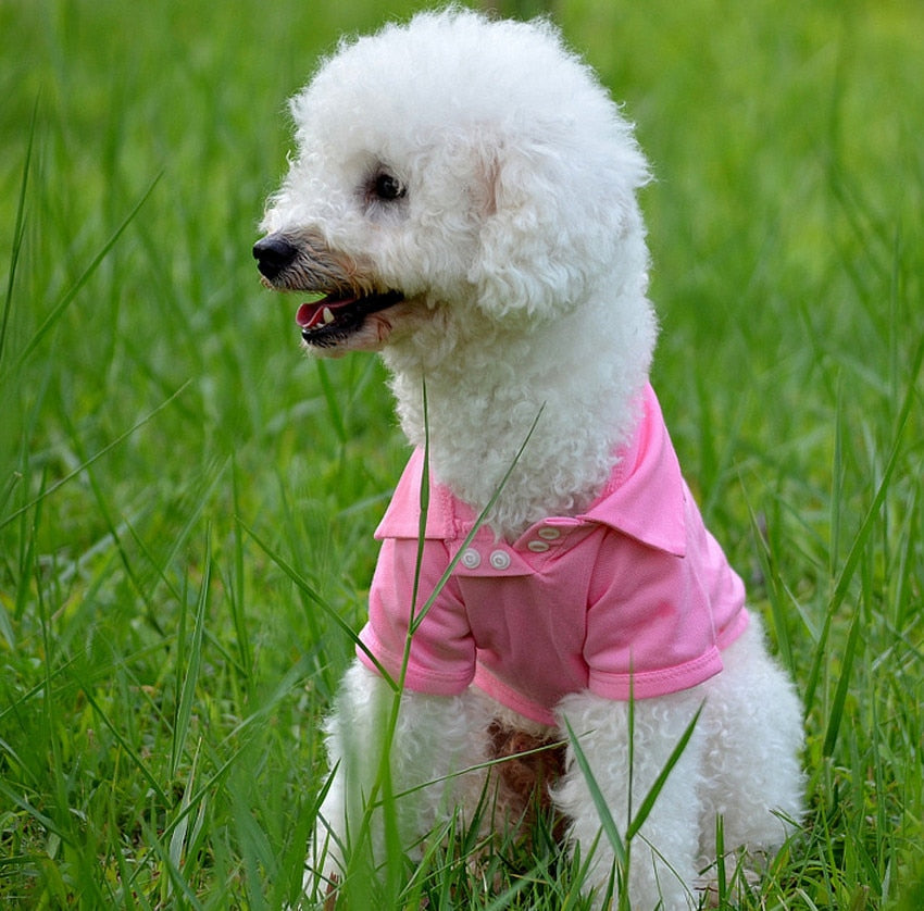 Puppy Comfortable Summer Shirt