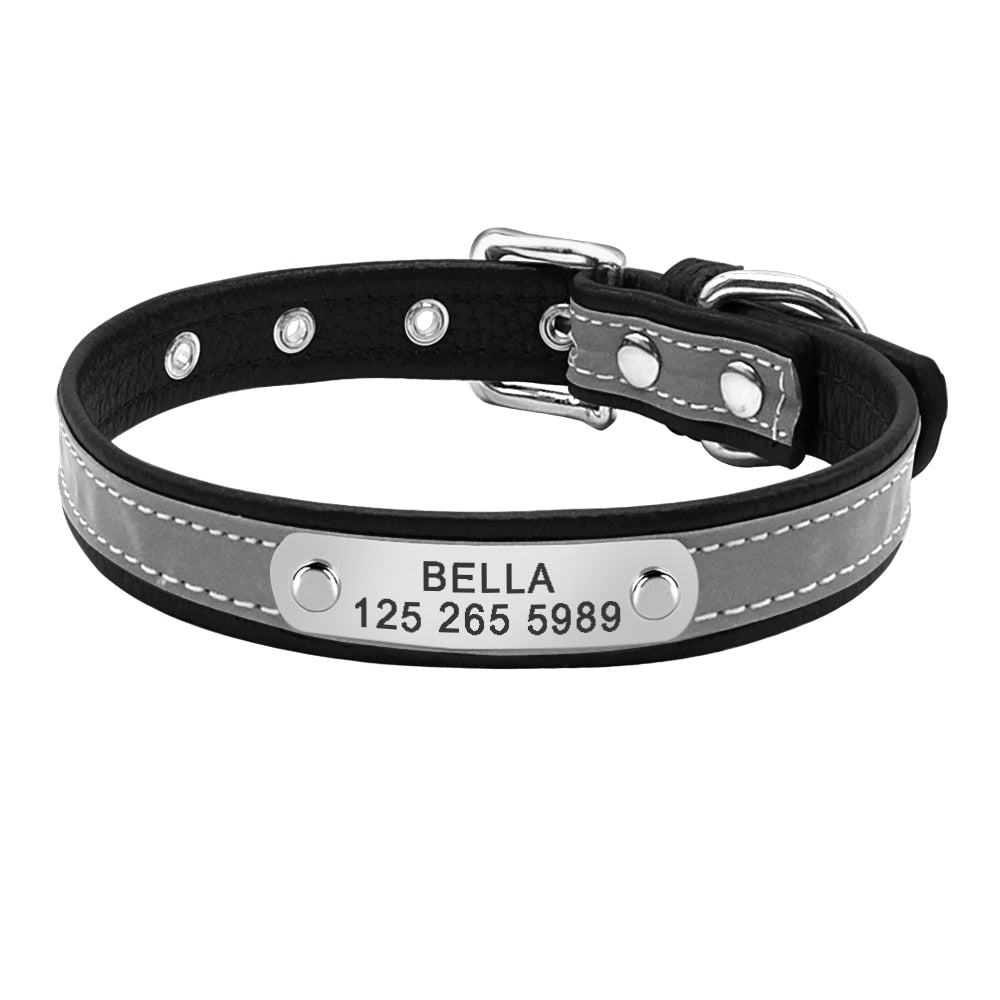 Pet Kitten Nameplate Collar