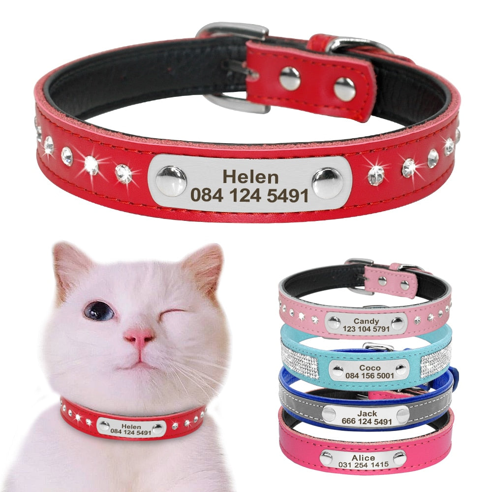 Pet Kitten Nameplate Collar