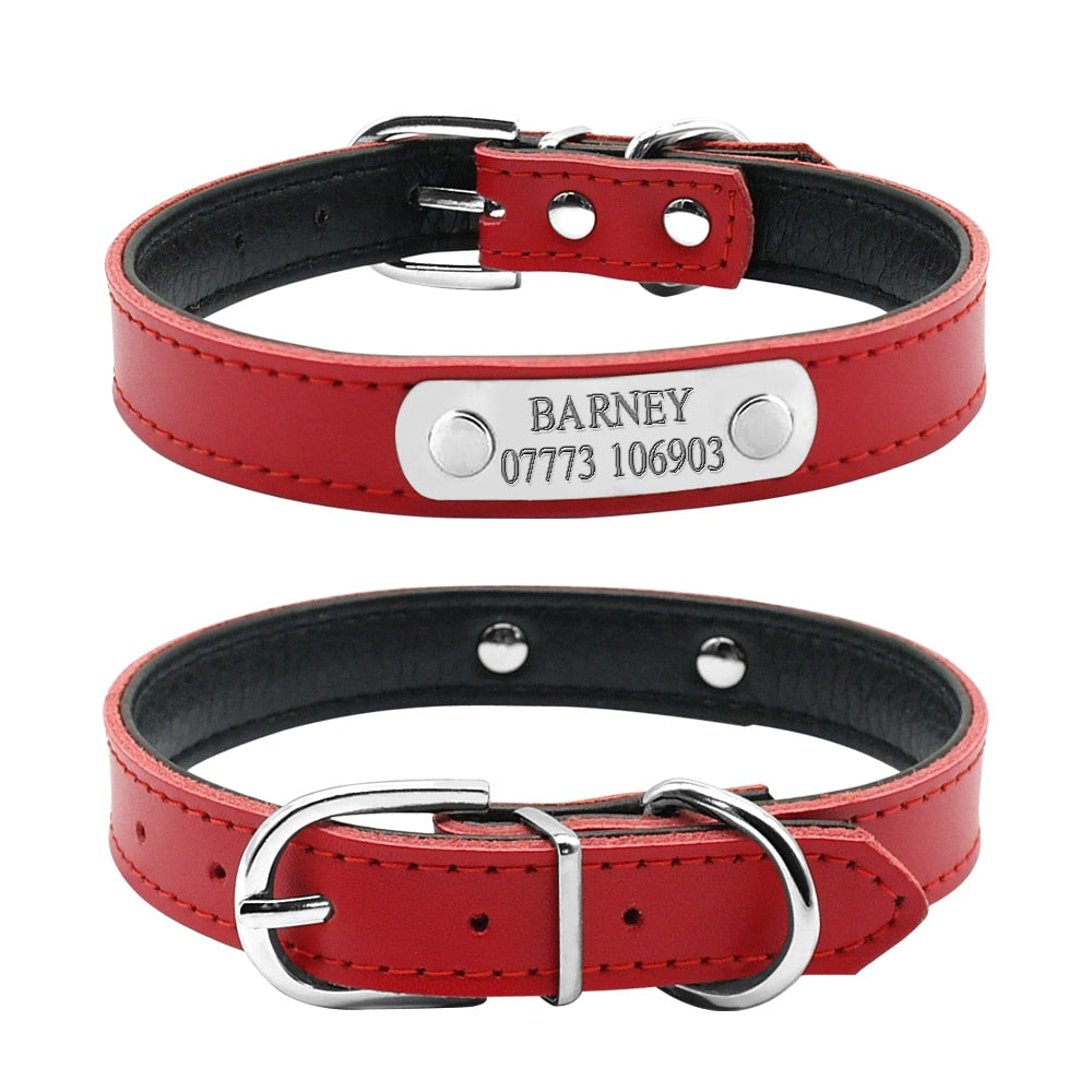 Pet Kitten Nameplate Collar