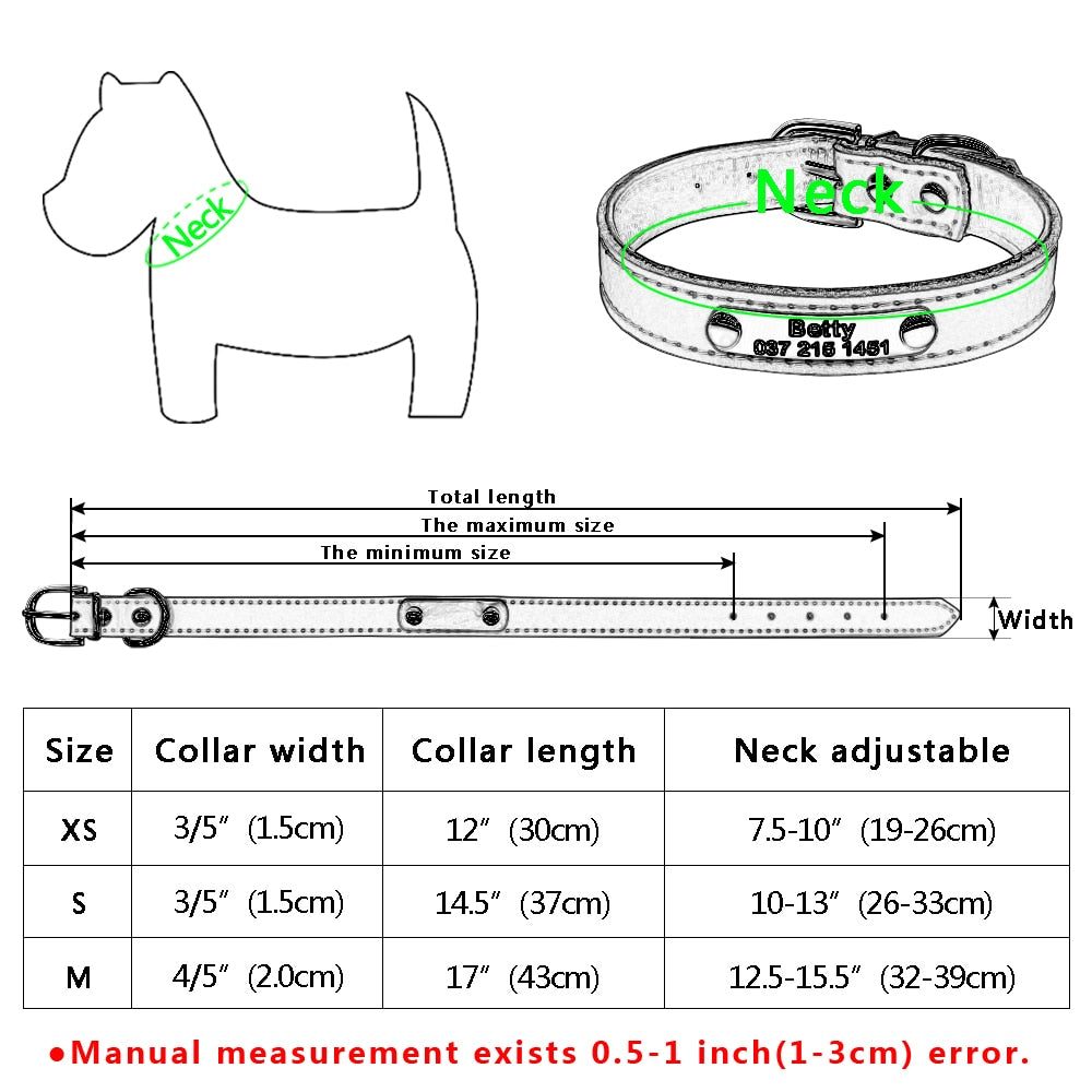 Pet Kitten Nameplate Collar