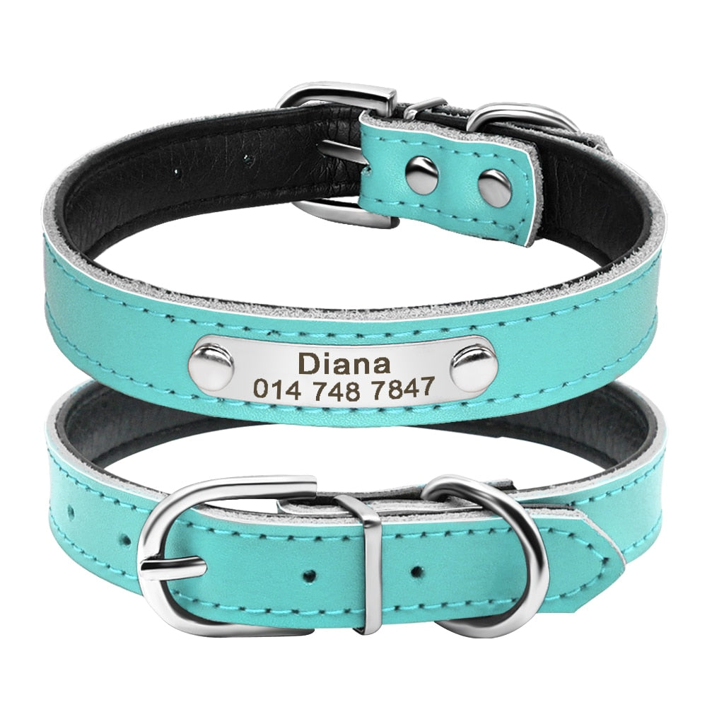 Pet Kitten Nameplate Collar