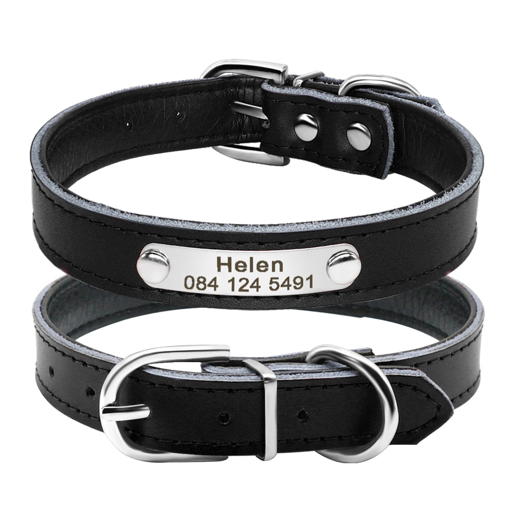 Pet Kitten Nameplate Collar