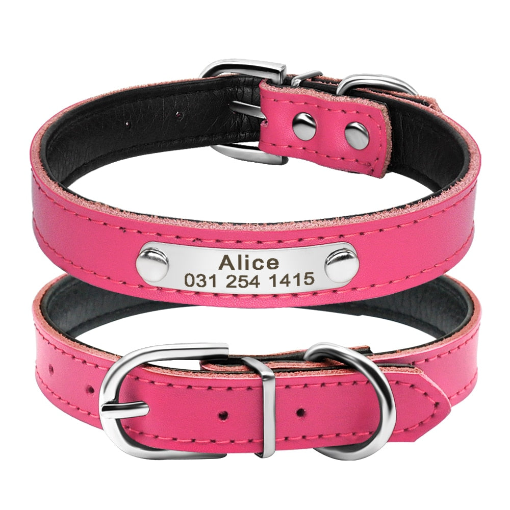 Pet Kitten Nameplate Collar