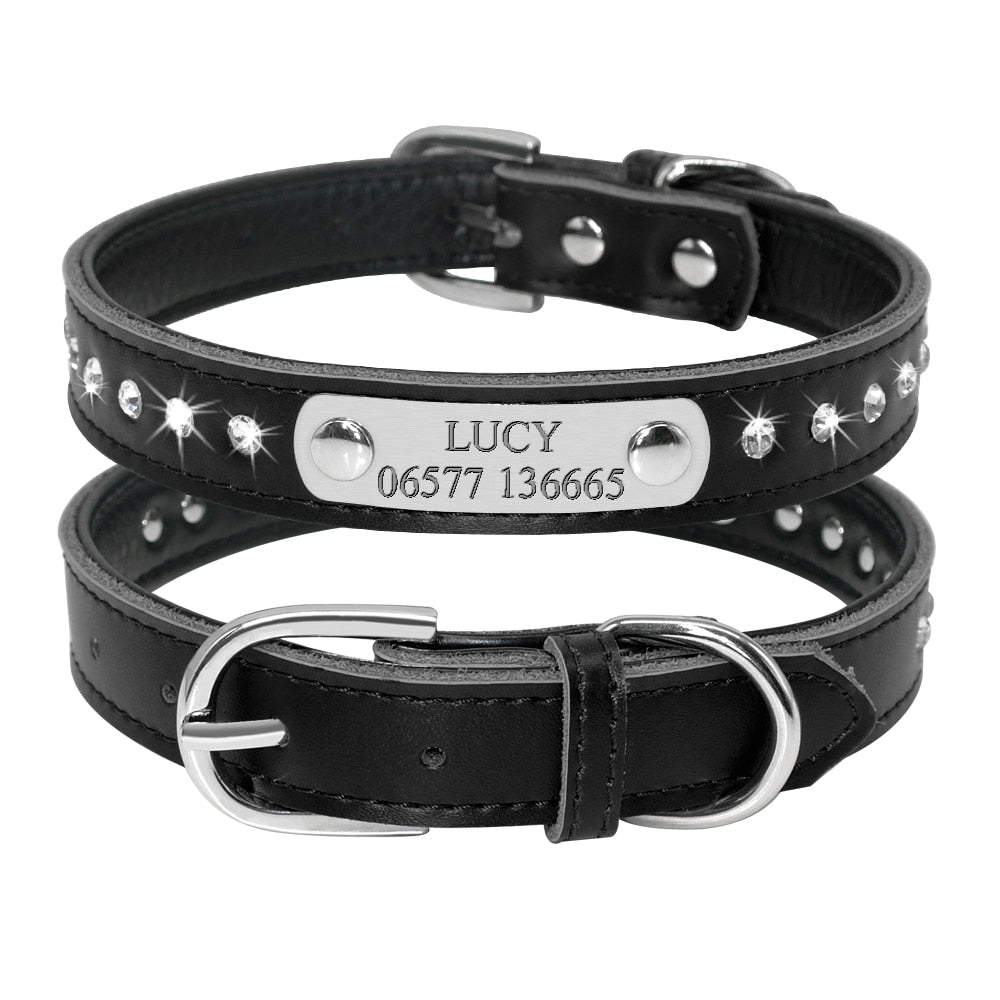 Pet Kitten Nameplate Collar