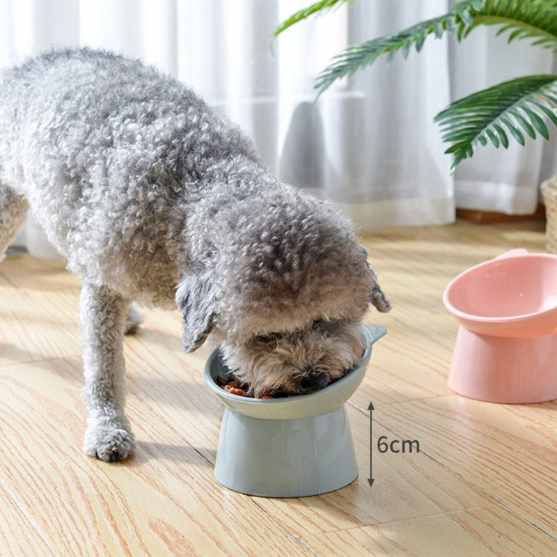 Binaural Pet Feeding Cup