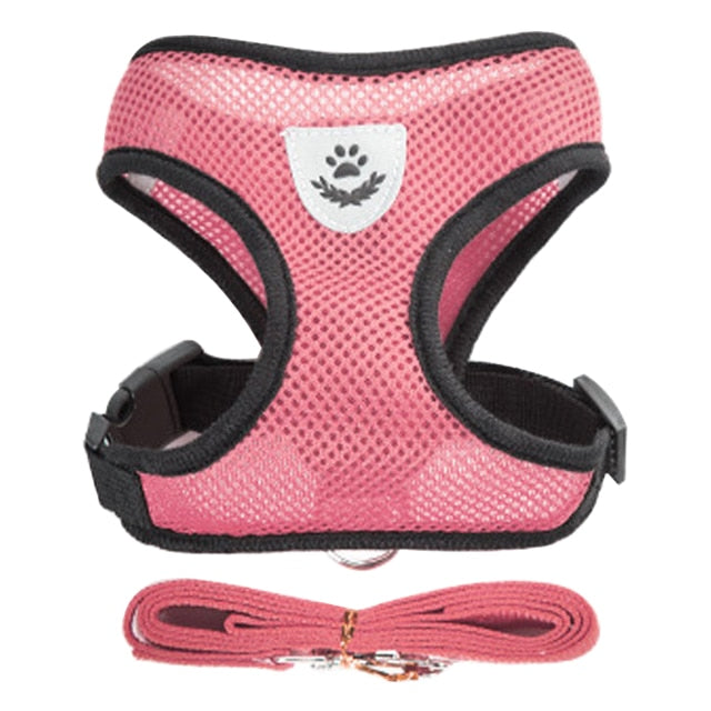 Vest Walking Lead Leash