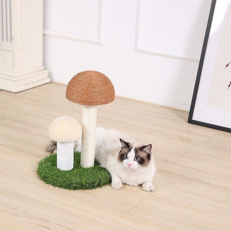 Kitten Cute Mushrooms Furniture