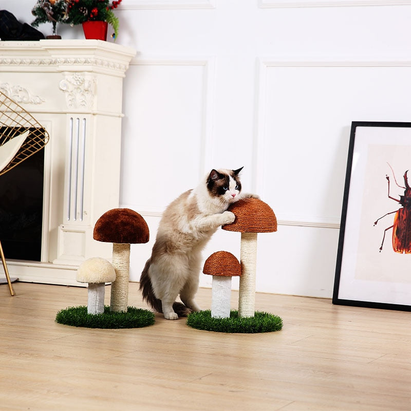 Kitten Cute Mushrooms Furniture