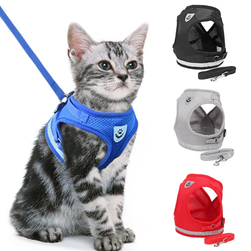 Polyester Harness For Dog Cat