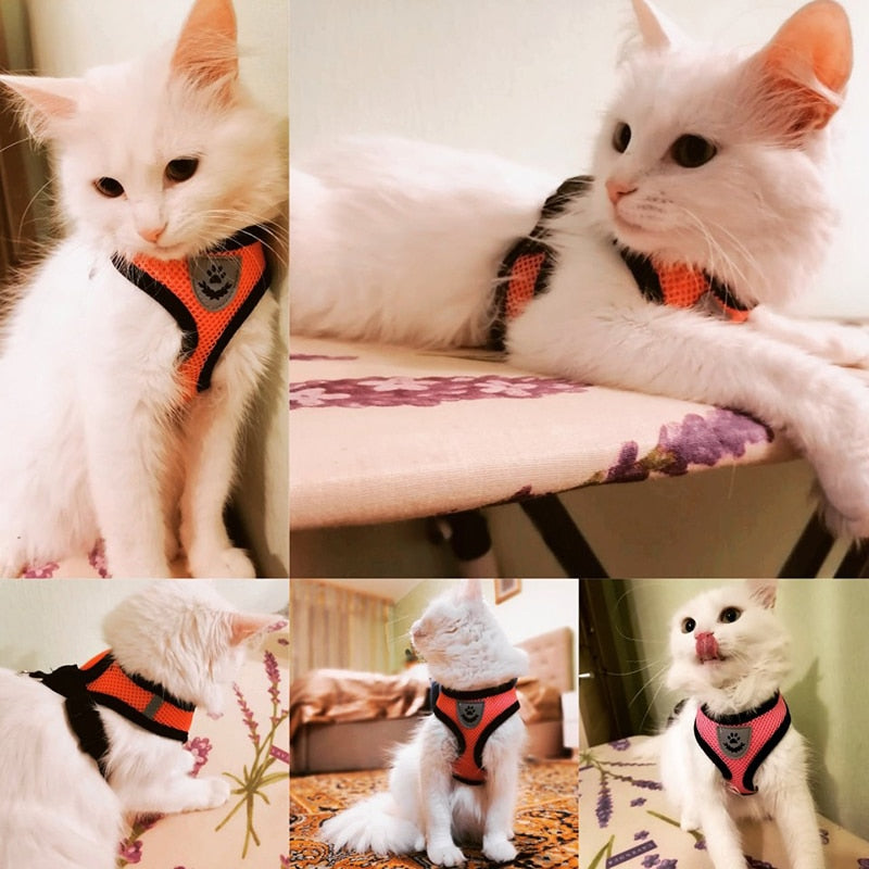 Cat Dog Harness