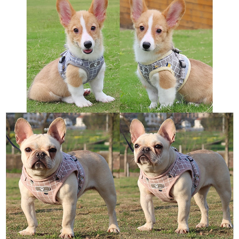 Nylon Mesh Kitten Puppy Reflective Dogs Harness