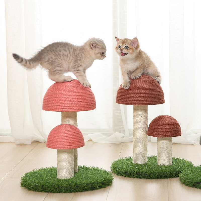 Kitten Cute Mushrooms Furniture