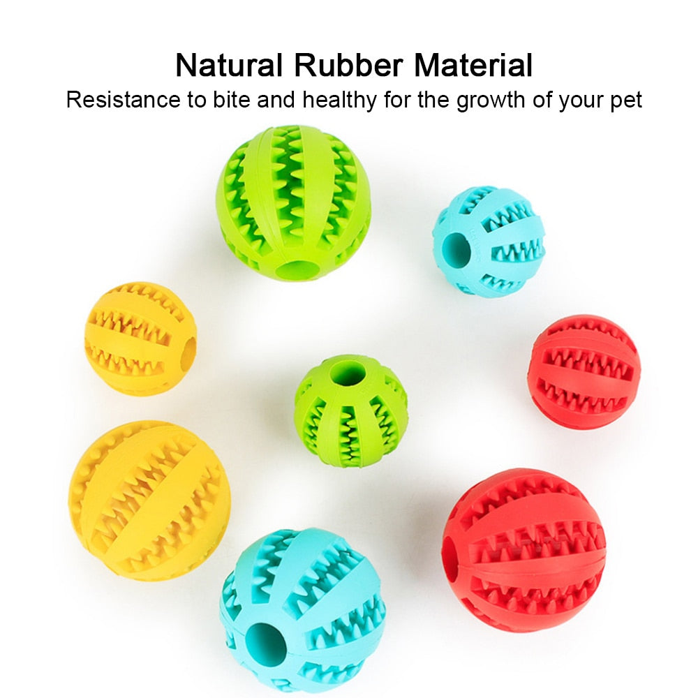 Puppy Cat Chewing Toys