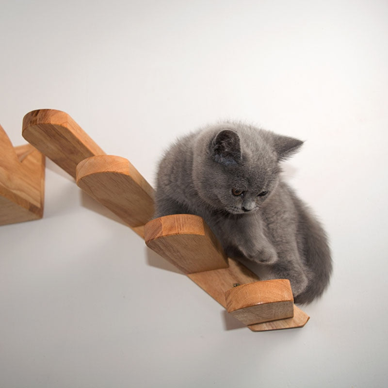 Wall-Mounted Cat Climbing Ladder