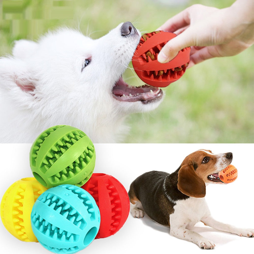 Puppy Cat Chewing Toys