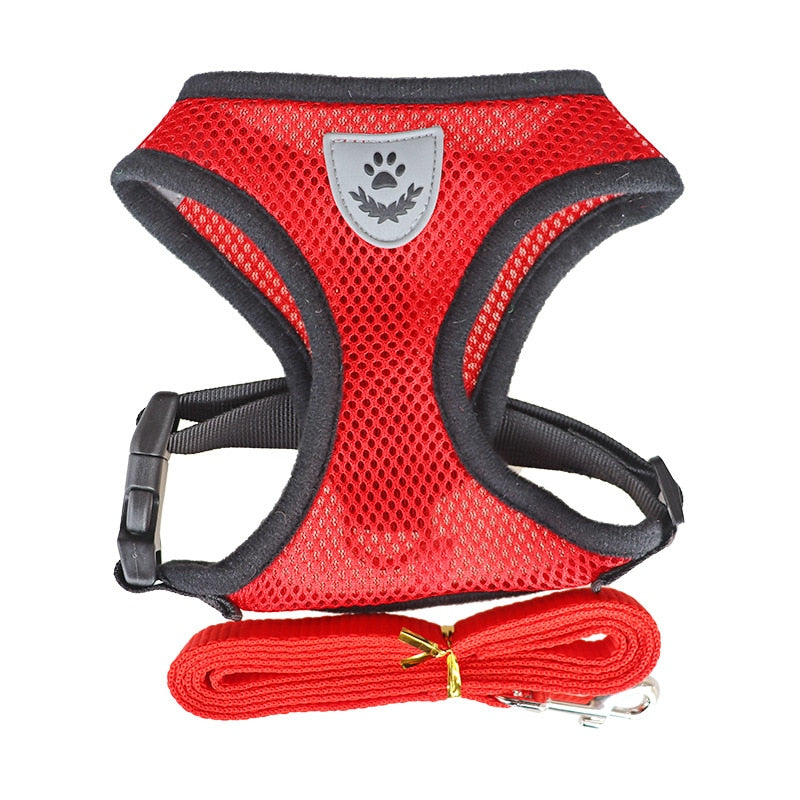 Polyester Harness For Dog Cat